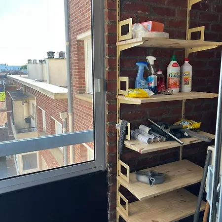 Superbe Appartement T4 Fraichement Renove - Calme Lille
