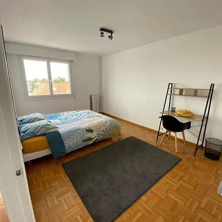 Superbe Appartement T4 Fraichement Renove - Calme Lille